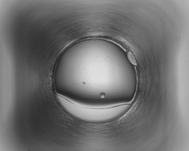 X0000101391361200807211004