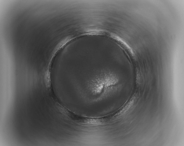 X0000101391362200807211004