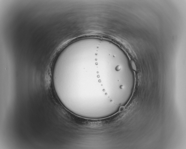 X0000101391363200807211004