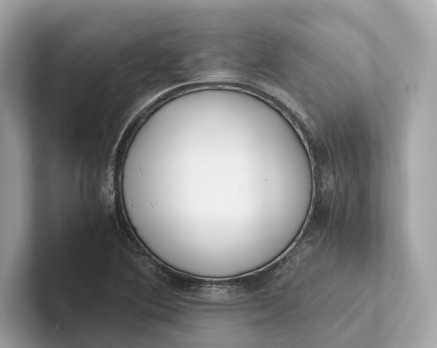 X0000101391364200807211004