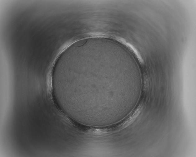 X0000101391365200807211004