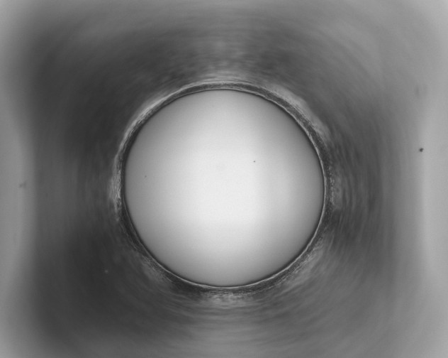 X0000101391366200807211004