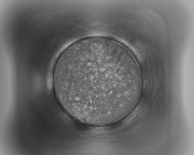 X0000101391367200807211004