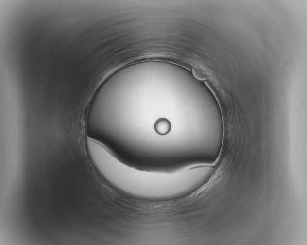 X0000101391369200807211004