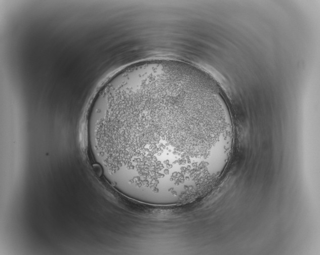 X0000101391371200807211004