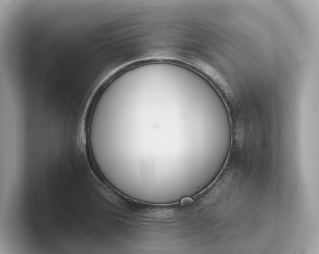 X0000101391372200807211004