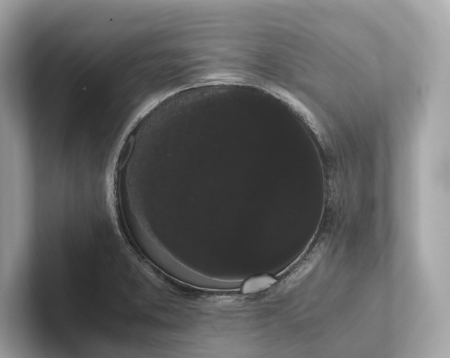 X0000101391373200807211004