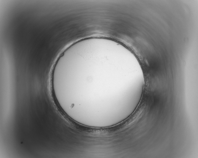 X0000101391375200807211004