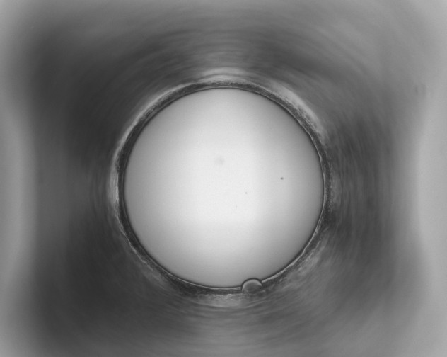 X0000101391376200807211004