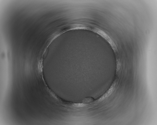 X0000101391377200807211004