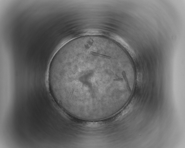 X0000101391378200807211004