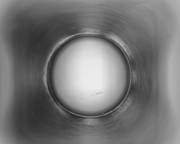 X0000101391379200807211004