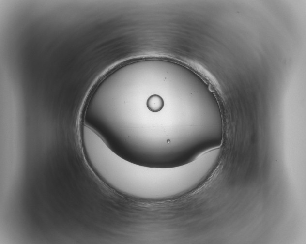 X0000101391380200807211004