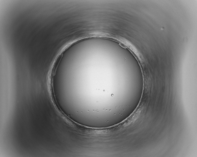 X0000101391381200807211004