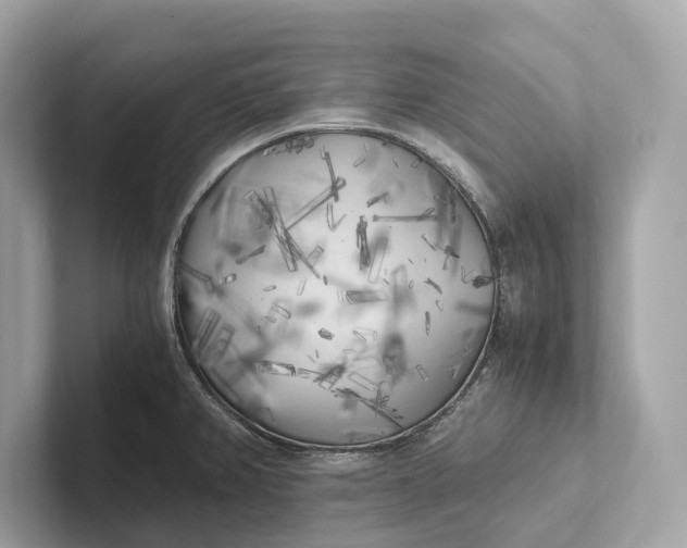 X0000101391382200807211004