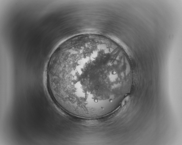 X0000101391383200807211004