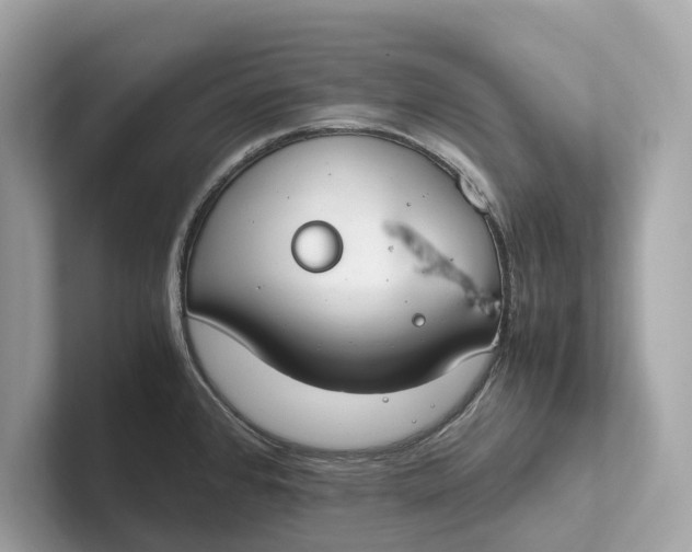 X0000101391384200807211004