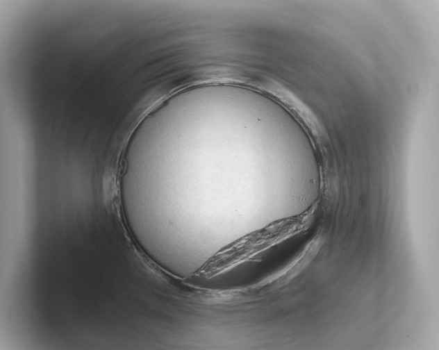 X0000101391385200807211004