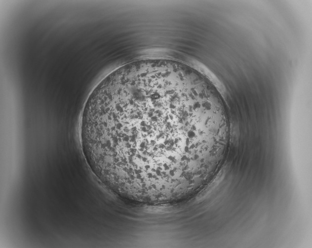 X0000101391386200807211004