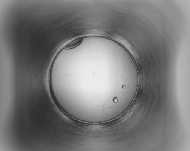 X0000101391387200807211004