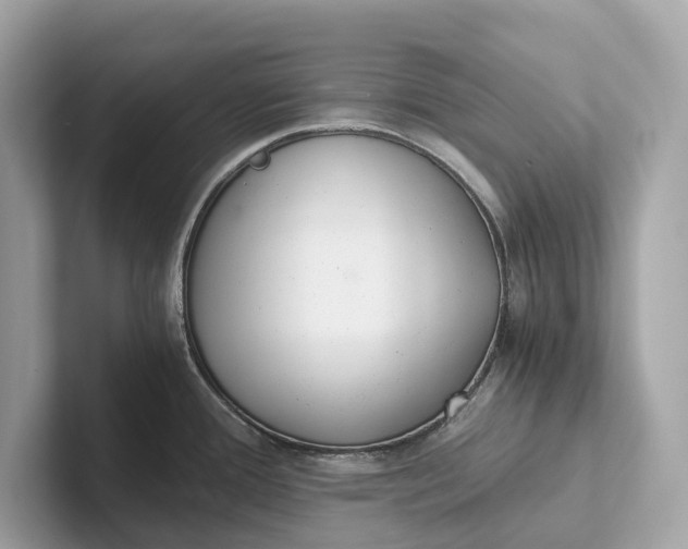 X0000101391388200807211004