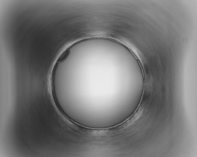 X0000101391389200807211004