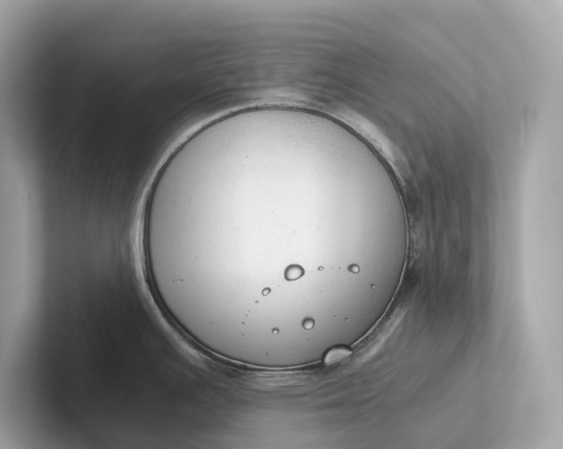 X0000101391391200807211004