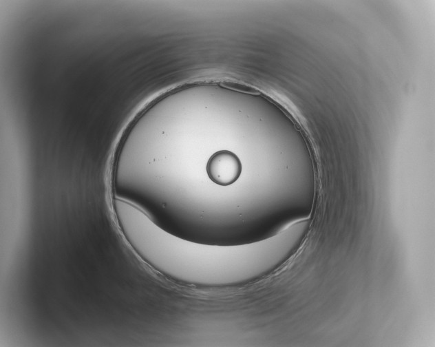 X0000101391392200807211004