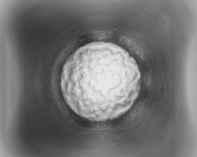 X0000101391393200807211003