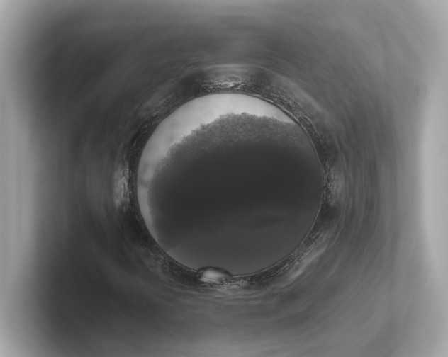 X0000101391394200807211003