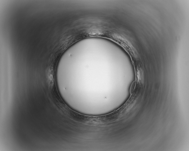 X0000101391396200807211003