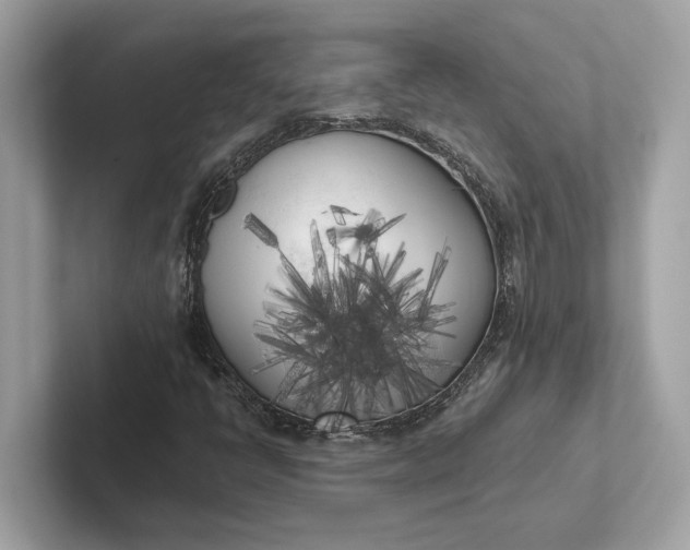 X0000101391398200807211003