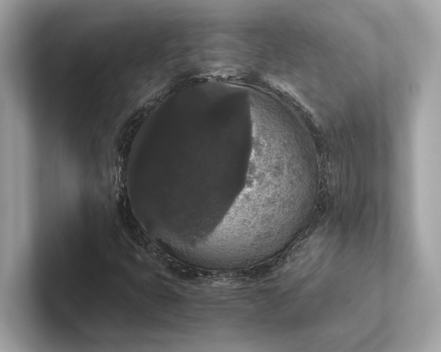 X0000101391399200807211003