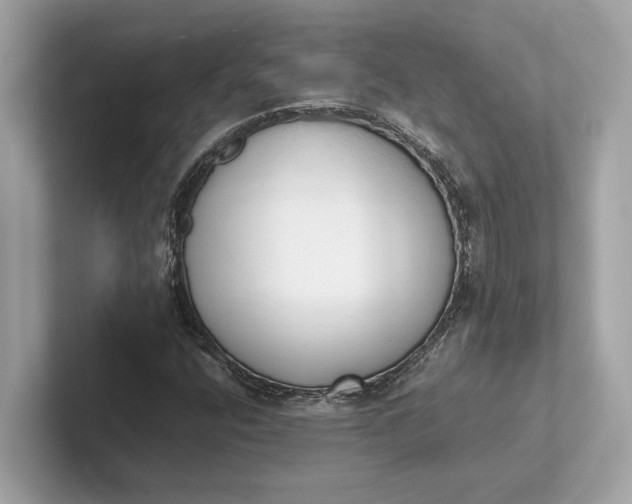 X0000101391400200807211003