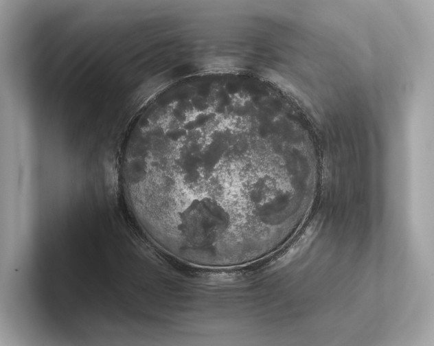 X0000101391401200807211003