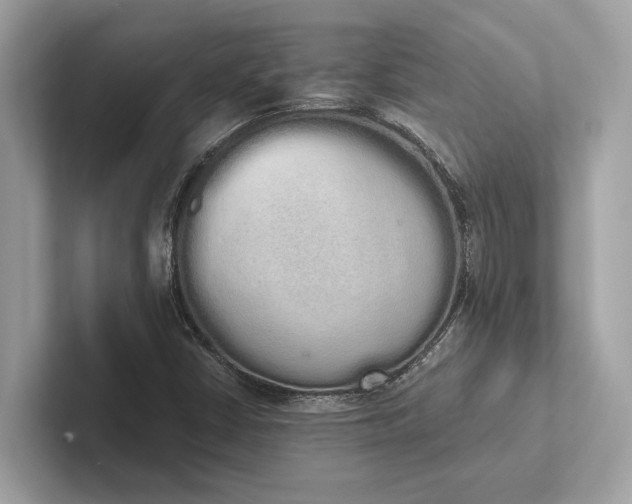 X0000101391402200807211003