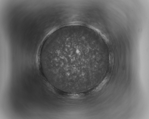 X0000101391405200807211003