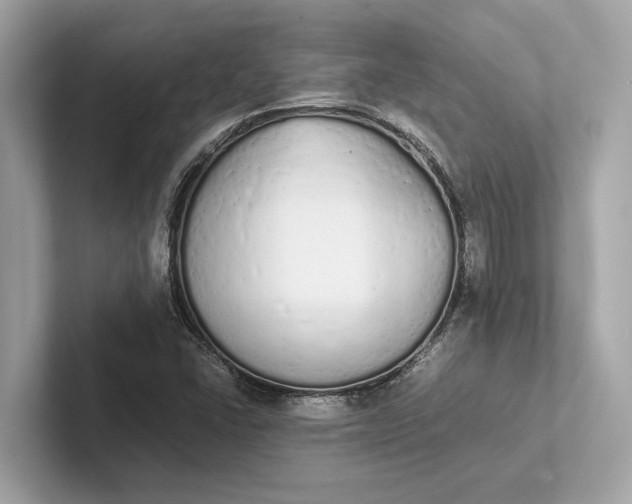 X0000101391406200807211003