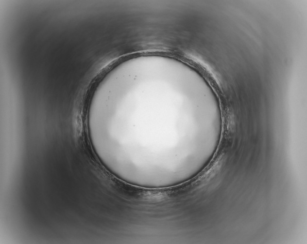 X0000101391407200807211003