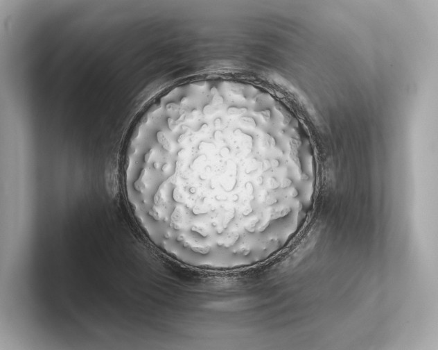 X0000101391409200807211003