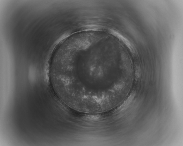 X0000101391411200807211003