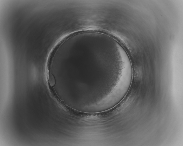 X0000101391414200807211003