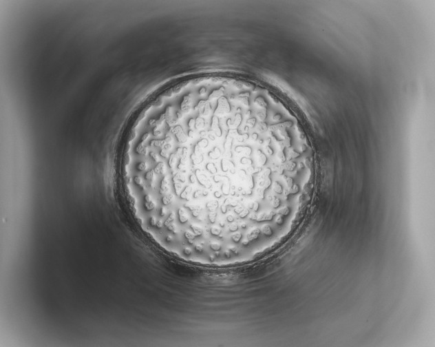 X0000101391415200807211004