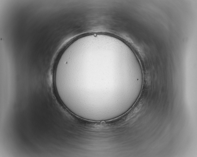 X0000101391416200807211004