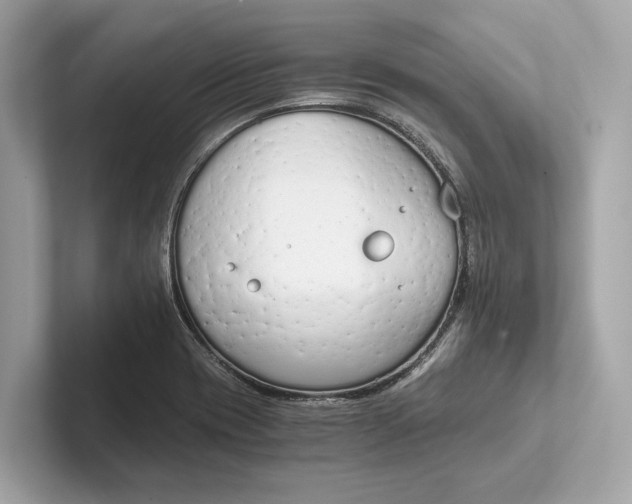 X0000101391417200807211004