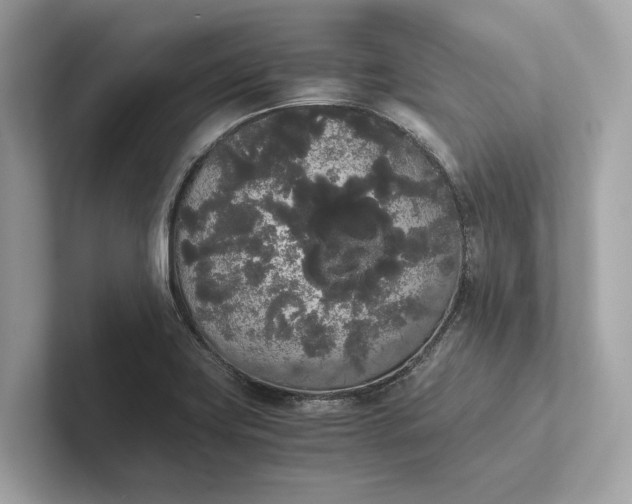 X0000101391419200807211004