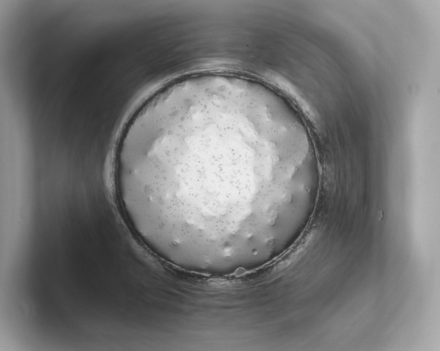 X0000101391421200807211004