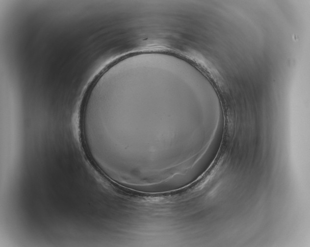 X0000101391422200807211004