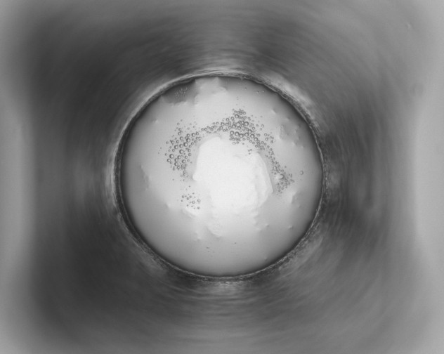 X0000101391423200807211004