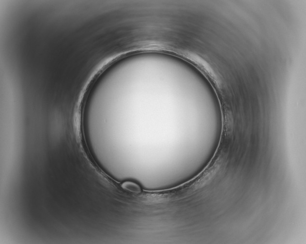 X0000101391424200807211004